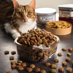 Корм для котів