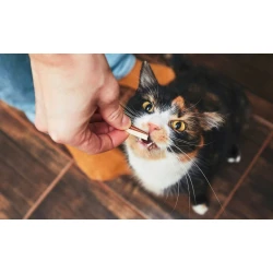 Ласощі та додаткове харчування для котів Ласощі та додаткове харчування для котів